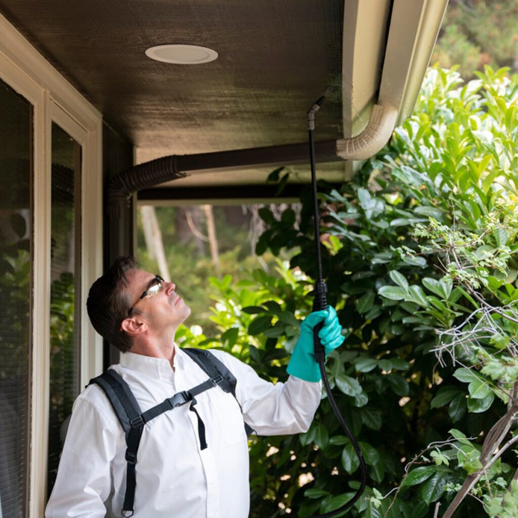 Professional pest control treatment in Sugar Land and Houston TX